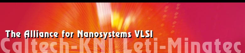 The Alliance for Nanosystems VLSI